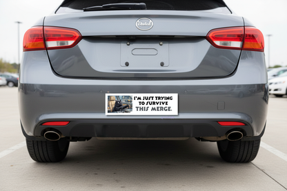 Cat Bumper Sticker en Bumper del Carro
